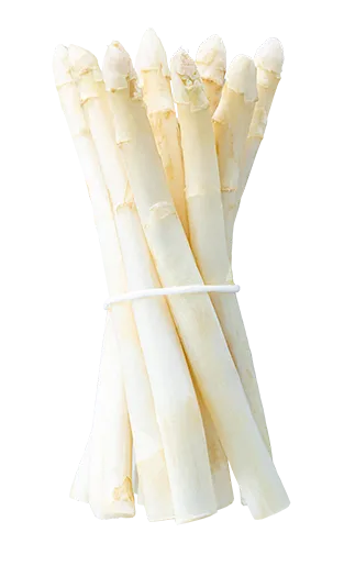 asperges